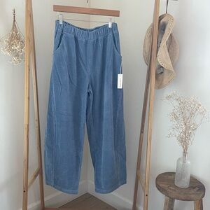 Le Bon Shoppe ~ Soft Corduroy Arc Pant (Blue)